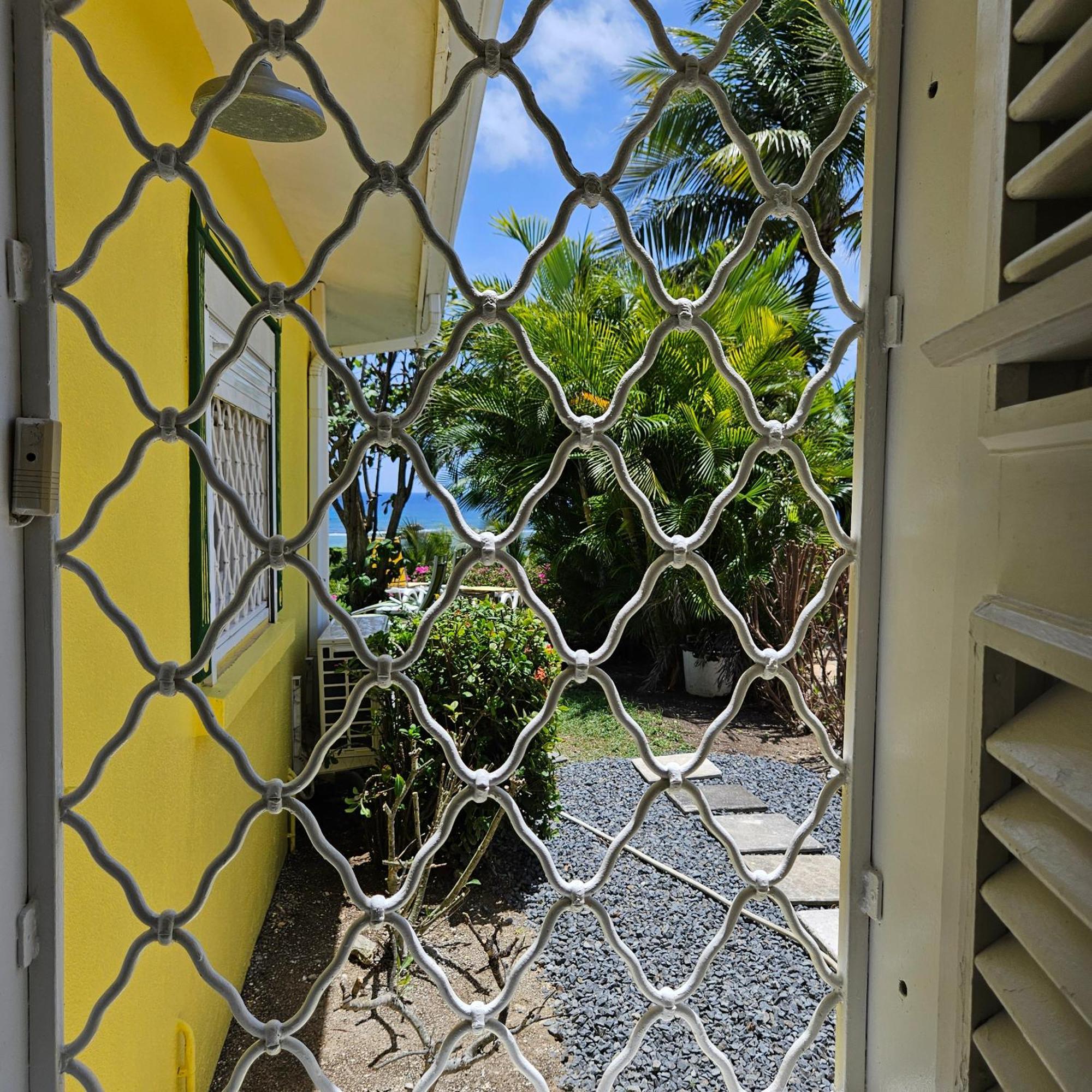 Villa Guadeloupe Saint Francois Acces Mer Piscine Iguana Bay - Villa Zagadi エクステリア 写真