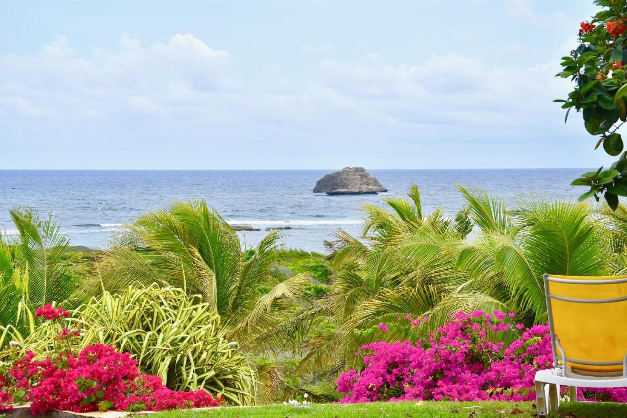 Villa Guadeloupe Saint Francois Acces Mer Piscine Iguana Bay - Villa Zagadi エクステリア 写真