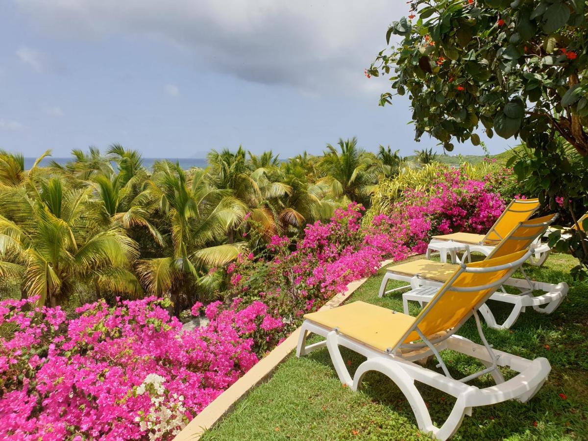 Villa Guadeloupe Saint Francois Acces Mer Piscine Iguana Bay - Villa Zagadi エクステリア 写真