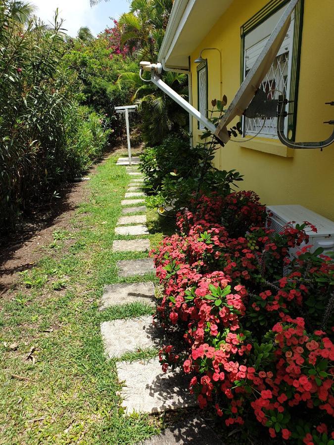 Villa Guadeloupe Saint Francois Acces Mer Piscine Iguana Bay - Villa Zagadi エクステリア 写真