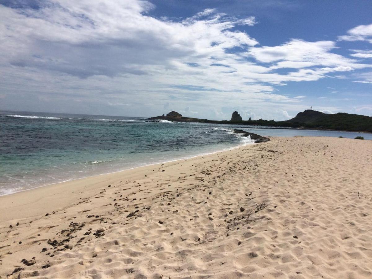 Villa Guadeloupe Saint Francois Acces Mer Piscine Iguana Bay - Villa Zagadi エクステリア 写真